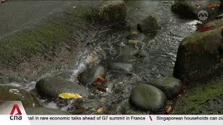 Singapore Botanic Gardens Opens Asia's First Nature Immersion Trail to Test Mental Health Benefits