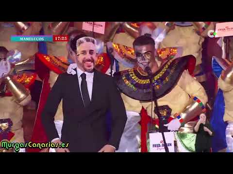 Murga Los Mamelucos 2026 - 2ª Fase de Murgas Adultas de Santa Cruz de Tenerife