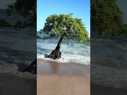 En la playa los cobanos acajutla sonsonate