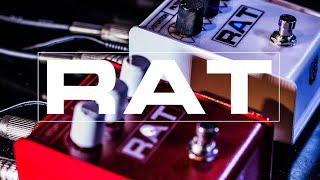 Video thumbnail for イケベオリジナルで実現の特別モデル「赤ラット」＆「白ラット」！ by Ikebe Channel｜池部楽器店