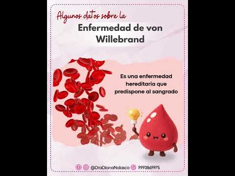 Diana Nolasco Medina-28