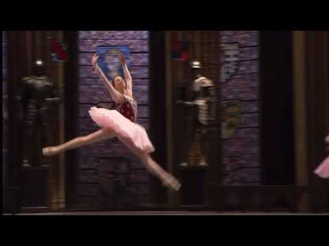 Fleur de Lys Variation - La Esmeralda - Bolshoi Theatre