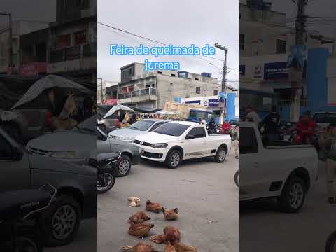 Feira queimada  de jurema