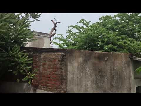 580 SQFT ECR AT PALAVAKKAM ₹23,LAK ..07358546778.. JAYALAKSHMI REALTY