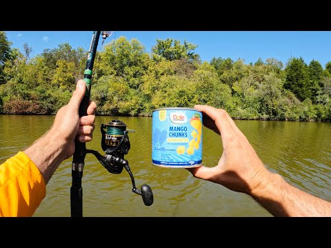 4 Hours of RAW and UNCUT Kayak Catfish and Carp Fishing with Mango Chunks and Worms