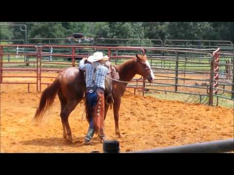 Colt Starting Demonstration