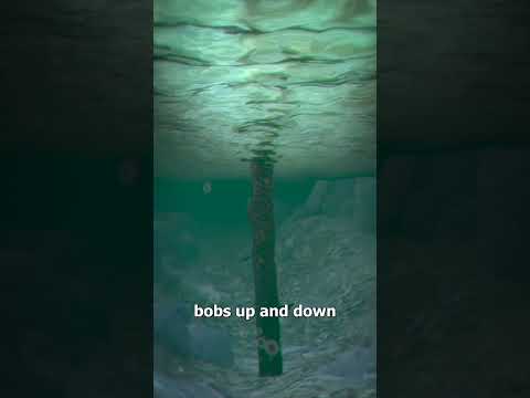 Deadly River Logs 😨