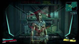#9【FPS】なっちさんのボーダーランズ3【BORDERLANDS3】
