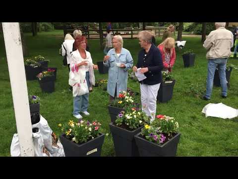 Adoptera en kruka - Relationsförvaltning® Stena fastigheter