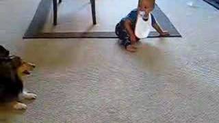 Excited dog makes baby laugh!