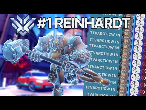 What 1,000 hours on Rein looks like