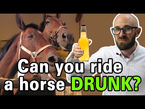 Can You Get a Ticket for Riding a Horse While Intoxicated?