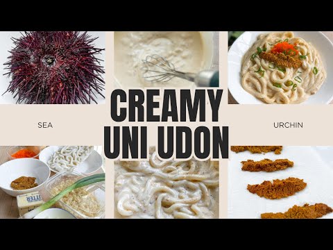 How to make Creamy Uni Udon 🍝
