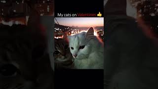 Download lagu Donβt click on this sound #backrooms #cats #shorts #viralshort created by @prodigres mp3 Download lagu Donβt click on this sound #backrooms #cats #shorts #viralshort created by @prodigres mp3