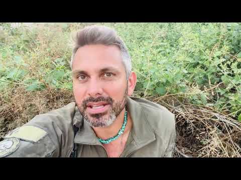 Update (Day 723) Swords of Iron - “Death Threats and Trumps Plan” 