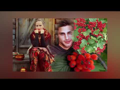 Песня горит калины свет