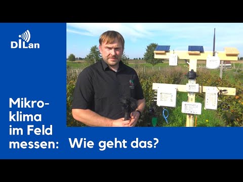 Wie misst man das Mikroklima im Feld?