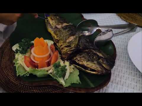 Daily Routines and Summer Vacation