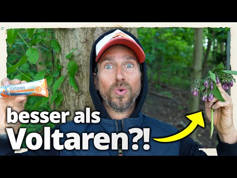 Besser als Voltaren und Diclofenac: Diese Heilpflanze schlägt alles!