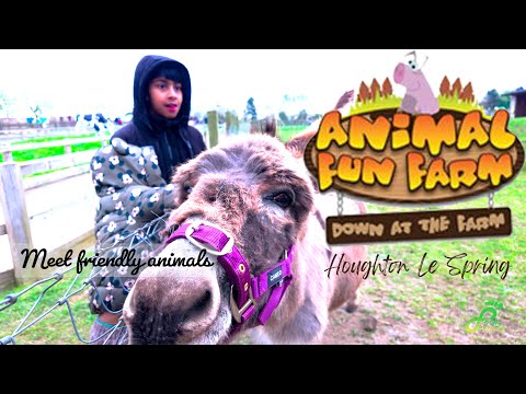 Down At The Farm I Children's farm I Houghton-le-Spring, England I Embraceworklifeimbalance