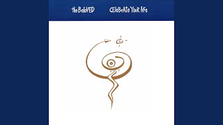 Celebrate Your Life (Cool Cat Dub)