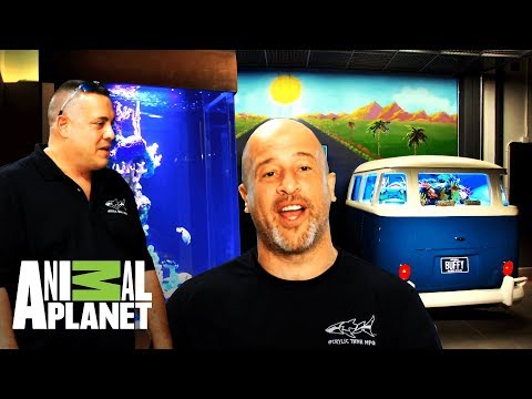 Lo mejor de "Con el agua al cuello" | Animal Planet