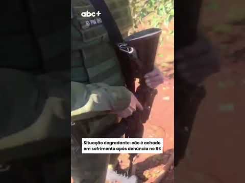 Situação degradante: Cão é achado em sofrimento após denúncia no RS