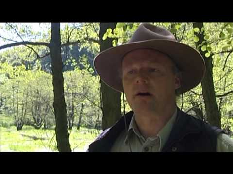 Natur erleben im Nationalpark Jasmund