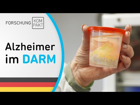 Alzheimer im Darm [DE]