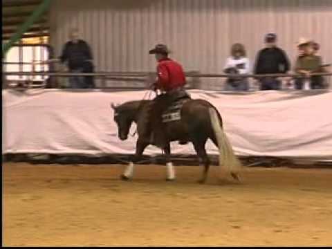 TinseltownWimpy_JordanLarson.mp4