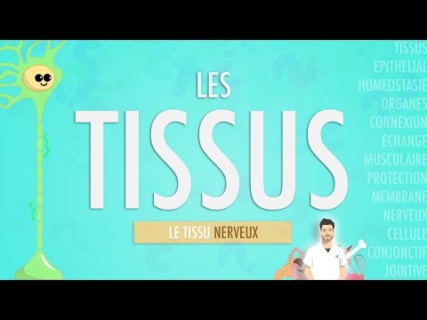 TISSUES: NERVOUS TISSUE (Part 3)