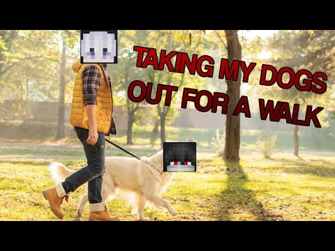 taking my dogs out for a walk (blnt's highlights #1)
