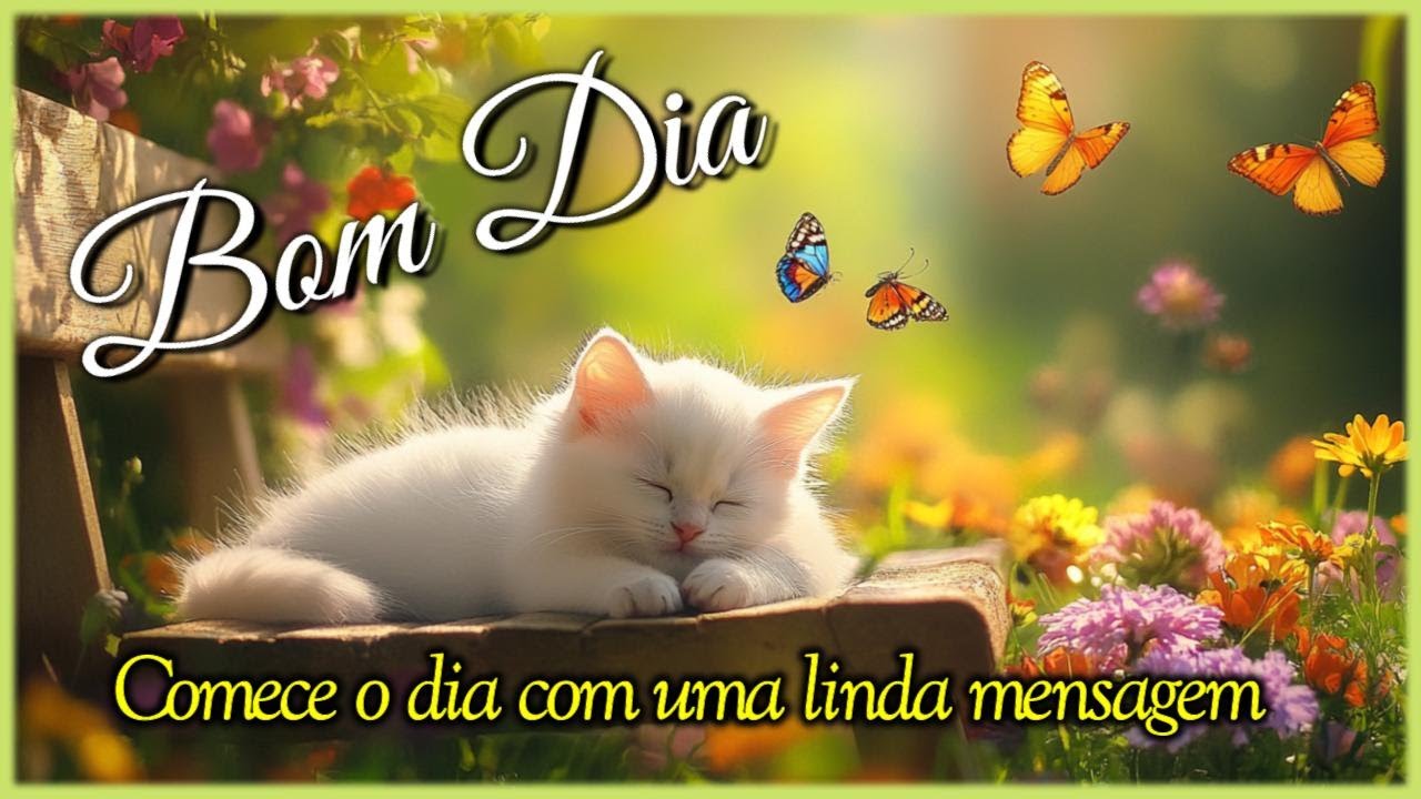 Levante-se Novamente I Mensagem de Bom Dia e Reflexão