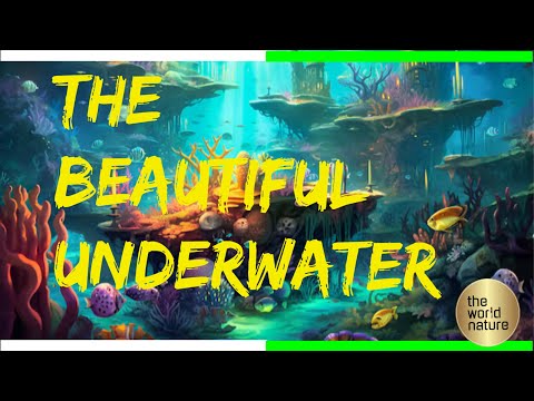 4K Underwater Wonders + Relaxing Music - The Best 4K Sea Animals for Relaxation