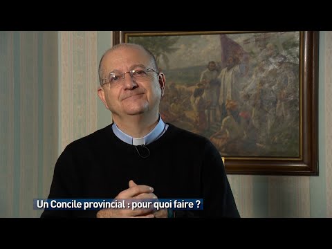 Un Concile provincial : pour quoi faire ?