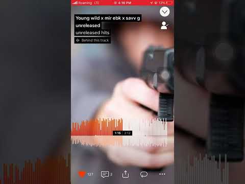 Young Wild X Mir ebk X Savv g - Ebk (UNRELEASED)