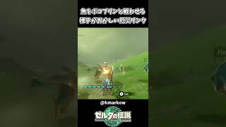 魚をボコブリンと戦わせる様子がおかしいリンクｗｗ【ゼルダの伝説 ティアーズ オブ ザ キングダム】
