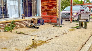 Forgotten Town in Michigan's Upper Peninsula