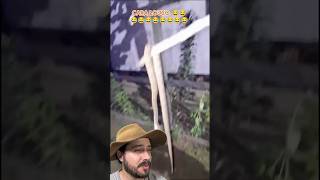 Oque não fazer em casos como esse