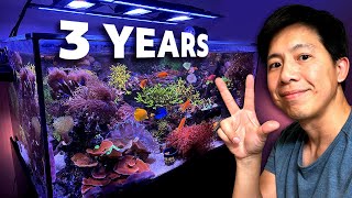 Updates on my 135g Mixed Reef - 3 Years! (EVERYTHING: Fish, SPS, LPS, Soft Corals, Clams)