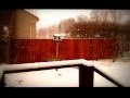Snowfall Fogelberg