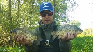 Ловля карася крупного весной на реке