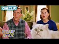 Snowbell S Plan Is Evil Stuart Little CineStream