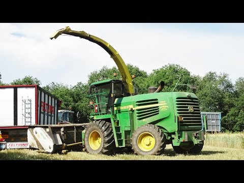 Triticale Silage | John Deere 7350 + Dominoni Domai MPD-611 | MF 7618/6470/8240