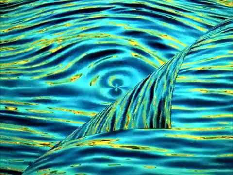 Aleš Pokorný & hosté - Na vodě