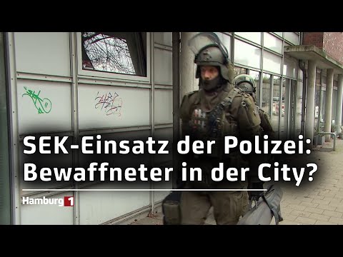 Mutmaßlicher Sexualdelikt: Zwei Festnahmen durch das SEK