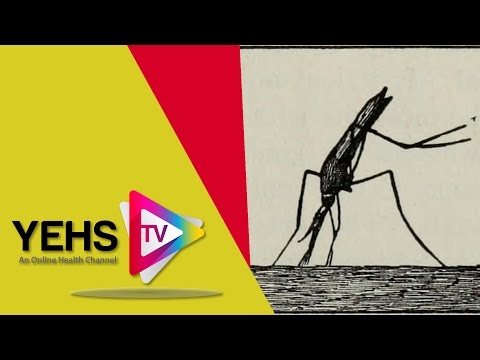 Yellow Fever Vaccine