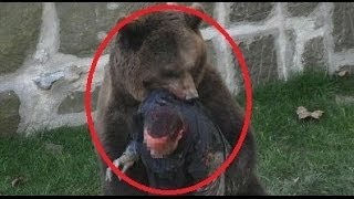 【閲覧注意：7人殺しの集落】 三毛別羆(ヒグマ)事件 世界史上最悪 人食いクマの熊獣害事件
