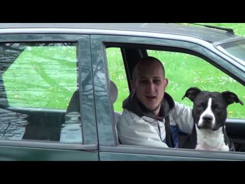 Robin Du Bitume feat  S3B