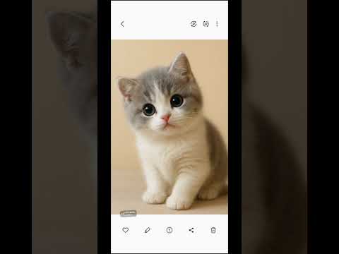 so cute cat 🐈 😻 🐈‍⬛️ 😍 💕 ❤️ 🐈 😻